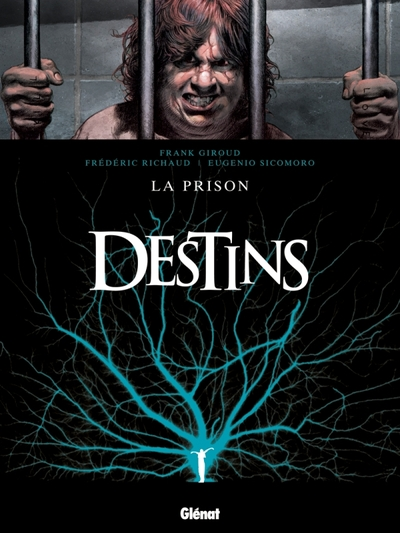 Destins, tome 12 : La prison