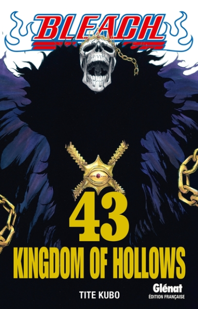 Bleach, tome 43 : Kingdom of Hollows