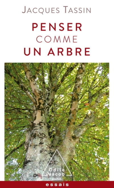 Penser comme un arbre