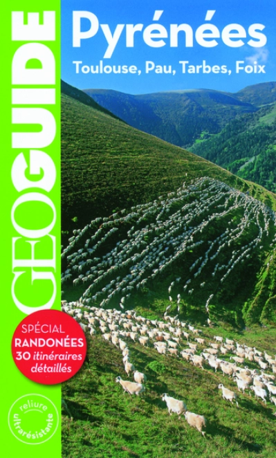 Géo Guide : Pyrénées : Toulouse, Pau, Tarbes, Foix