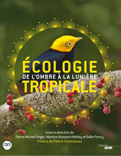 Écologie tropicale