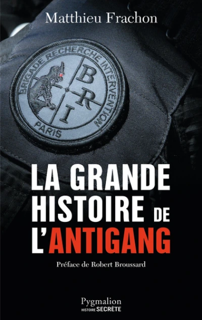 La grande histoire de l'antigang