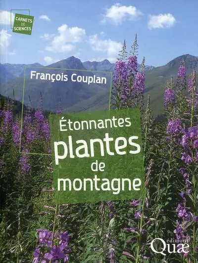 Étonnantes plantes de montagne