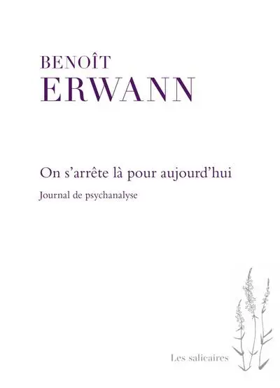 On s'arrête là pour aujourd'hui : Journal de psychanalyse