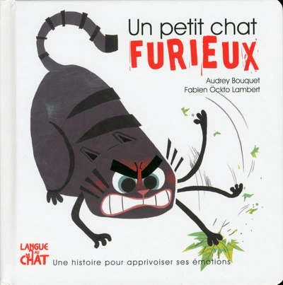 Un petit chat furieux