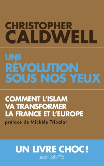 Une révolution sous nos yeux. Comment l'Islam va transformer la France et l'Europe