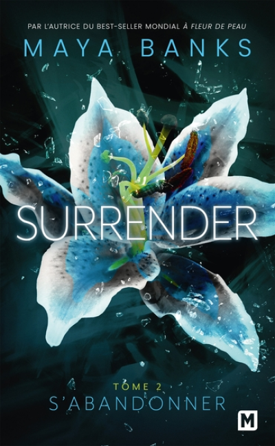 Surrender, tome 2 : S'abandonner