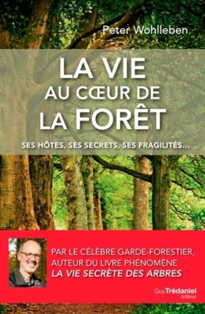 La vie au coeur de la forêt