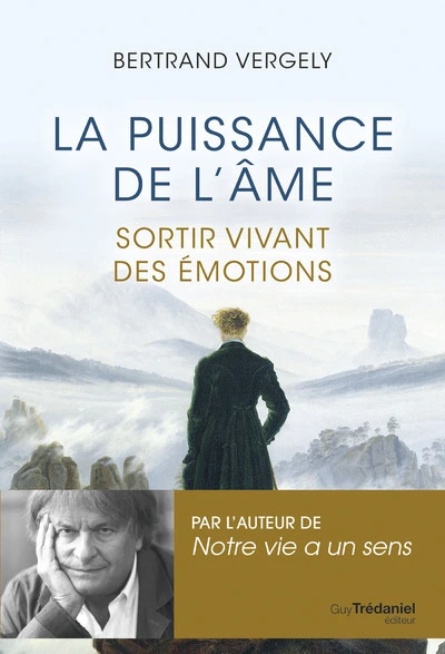 La puissance de l'âme - Sortir vivant de l'émotion