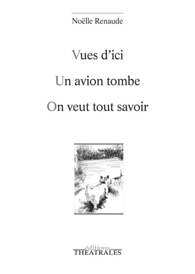 Vues d'ici - Un avion tombe - On veut tout savoir