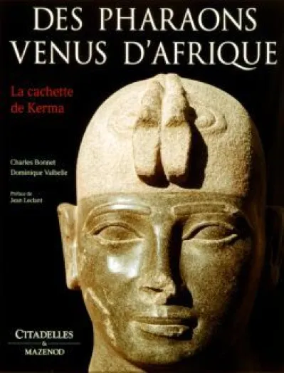 Les pharaons venus d'Afrique