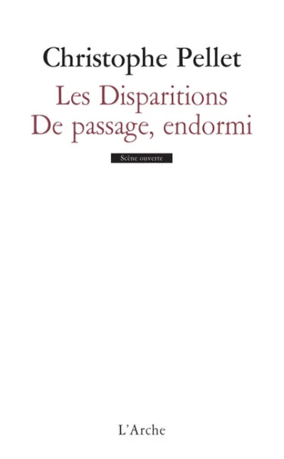 Les disparitions - De passage, endormi