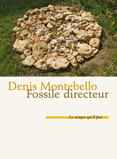 Fossile directeur