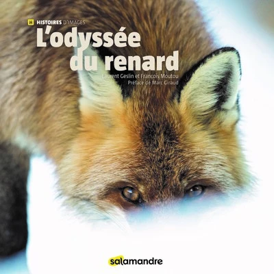 L'Odyssée du renard