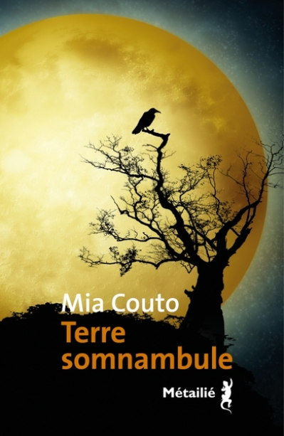 Terre somnambule