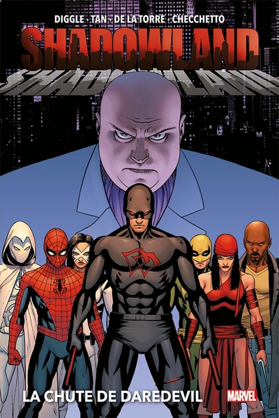 Shadowland : La chute de Daredevil