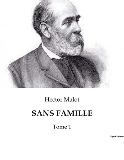 Sans famille (Hector Malot)