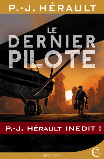 Le dernier pilote - Après le Chaos