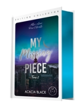 My missing piece, tome 2