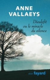 Dieulefit ou le miracle du silence