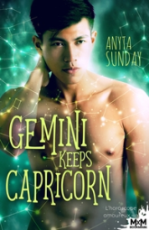 L'horoscope amoureux, tome 3 : Gemini Keeps Capricorn