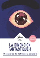 La dimension fantastique :