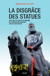 La disgrâce des statues : Essai sur les conflits de mémoire, de la Révolution française à Black Lives Matter