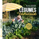 Légumes et canicule