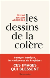 Les dessins de la colère