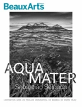 Aqua mater : Sebastião Salgado