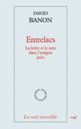 Entrelacs : La lettre et le sens dans l'exégèse juive