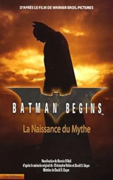 Batman Begins : La naissance du mythe