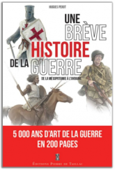 Une brève histoire de la guerre