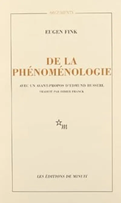 De la phénoménologie