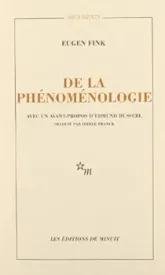 De la phénoménologie