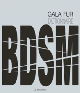 Dictionnaire illustré du BDSM