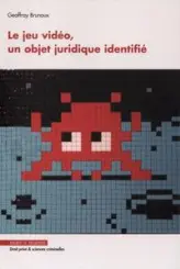 Le jeu vidéo, un objet juridique identifieet#769;