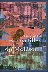 Les myrtilles du Moléson