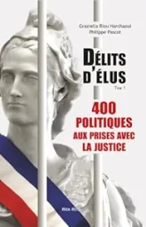 Délits d'élus