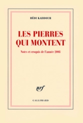 Les pierres qui montent : Notes et croquis de l'année 2008