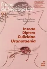 Insecta Diptera Culicidae Uranotaenia