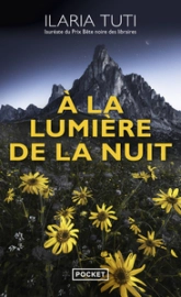 À la lumière de la nuit