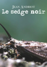 Le sedge noir