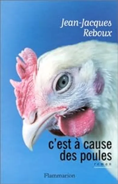 C'est à cause des poules