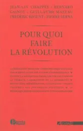 Pour quoi faire la révolution