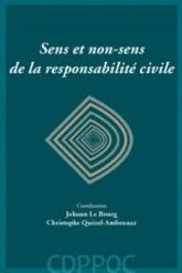 SENS ET NON-SENS DE LA RESPONSABILITE CIVILE