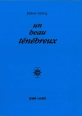 Un beau ténébreux