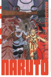 Naruto - Edition Hokage, tome 29