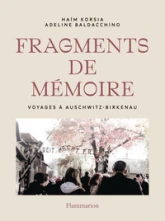 Fragments de mémoire: Voyages à Auschwitz-Birkenau