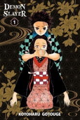 Demon slayer, tome 1